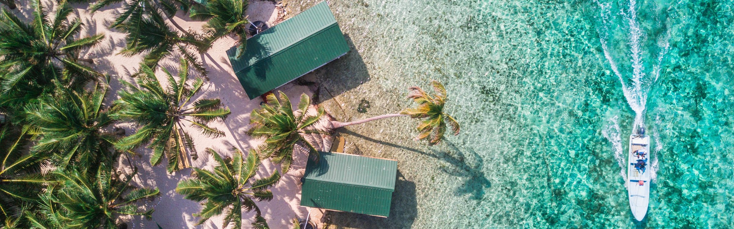 Aerial view of Caribbean tropical coastline with turquoise waters and palm-lined beach