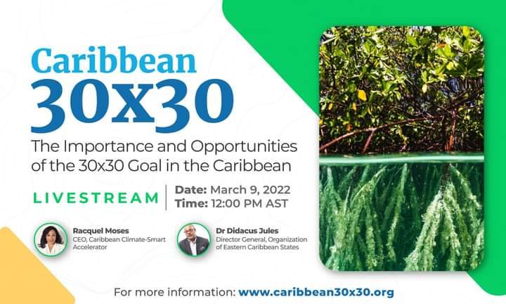 The Importance and Opportunities of the 30×30 Goal in the Caribbean